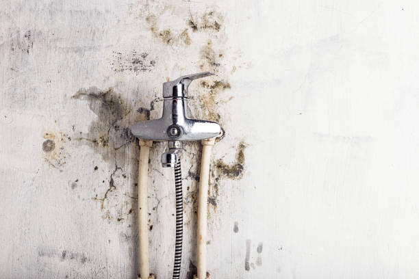 Best Water Damage Restoration  in Sycamore, IL